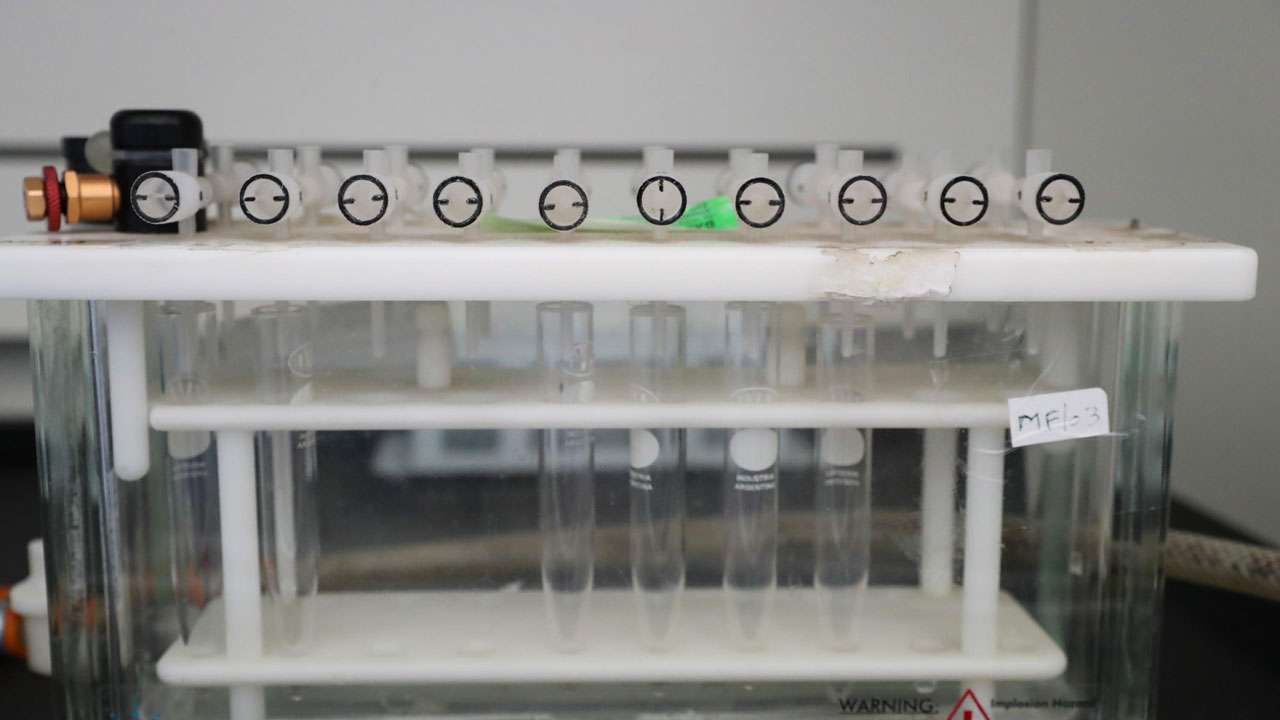 Doping